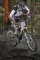 328__DSC0328 (2)